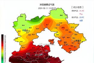 内维尔：本赛季英超最佳球员厄德高，最佳年轻球员帕尔默